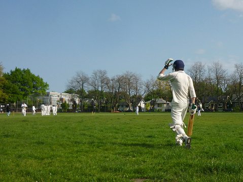 Cricket and Merchandising: Licensing, Branding, and Revenue Opportunities